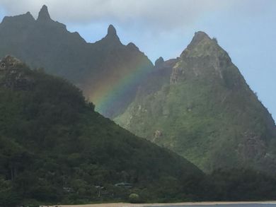 Hanalei Home 896400